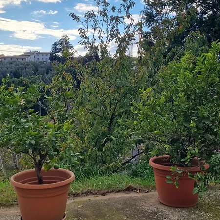 L' Oasi Del Riposo * Baschi