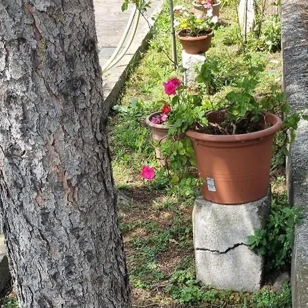 L' Oasi Del Riposo * Baschi