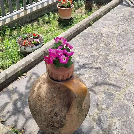 L' Oasi Del Riposo *