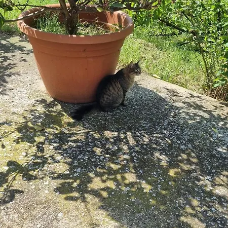 L' Oasi Del Riposo *