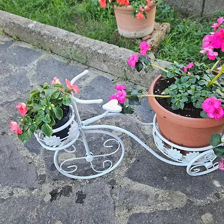 L' Oasi Del Riposo * Baschi