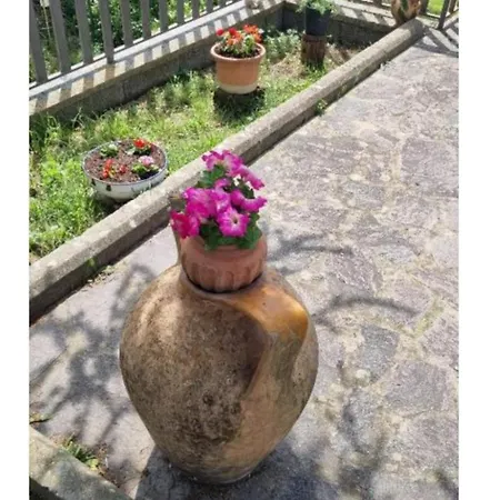 게스트하우스 L' Oasi Del Riposo *