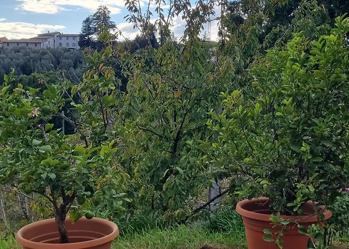 L' Oasi Del Riposo * 柏芝