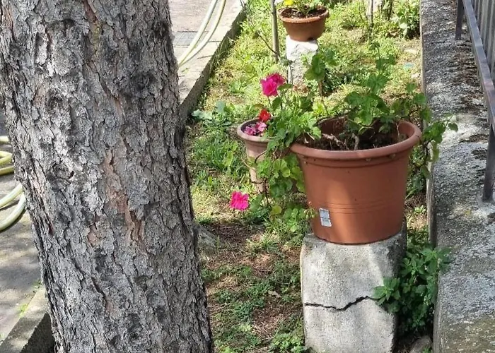 L' Oasi Del Riposo * 柏芝