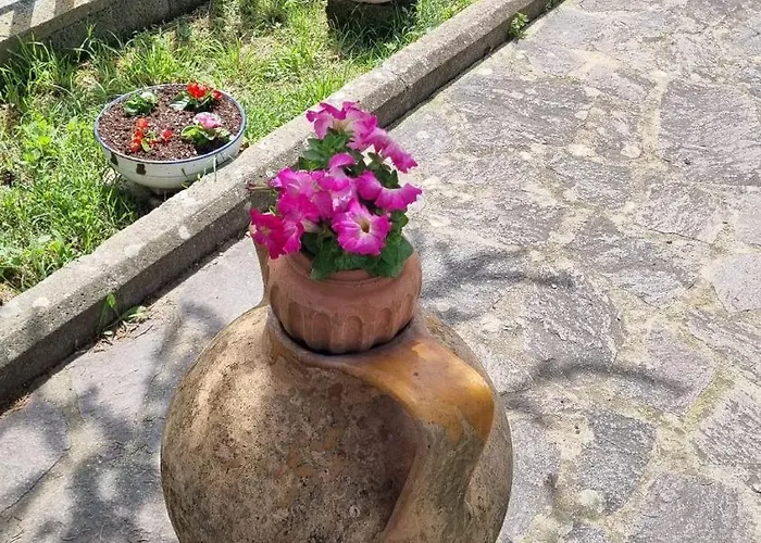 L' Oasi Del Riposo *