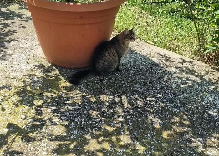 L' Oasi Del Riposo *